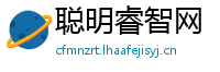 聪明睿智网